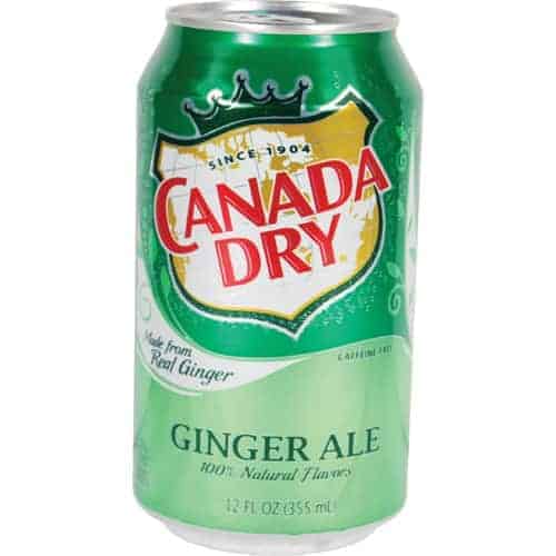 A can of Ginger Ale Diversion Safe on a white background.