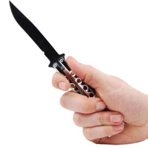 A person's hand holding a Butterfly Knife Stainless Steel on a white background.