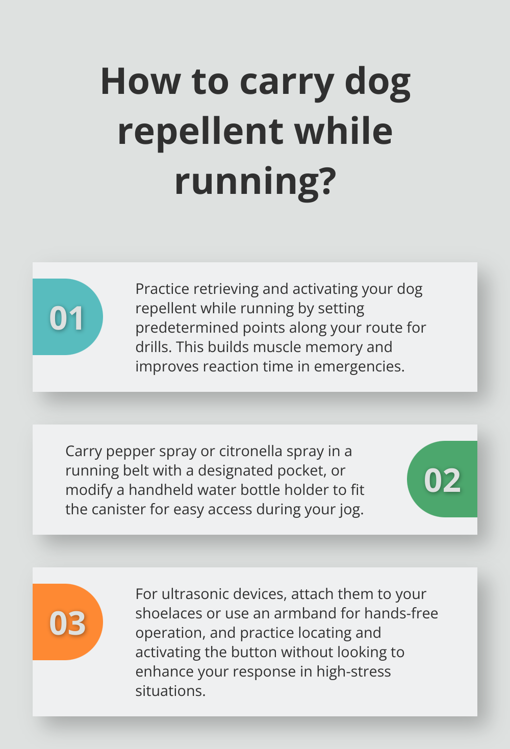 Infographic: How to carry dog repellent while running?