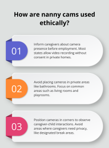 infographic-Nanny-cams-3